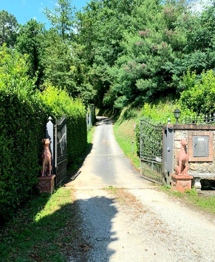 Appartamento COLLEALCEPPO - RESIDENZA LE SORBE - Piscina panoramica 13 km dal mare Montemagno  Esterno foto