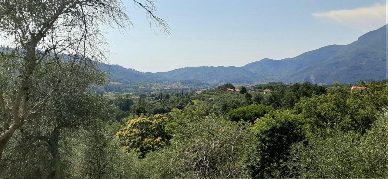 Appartamento COLLEALCEPPO - RESIDENZA LE SORBE - Piscina panoramica 13 km dal mare Montemagno  Esterno foto