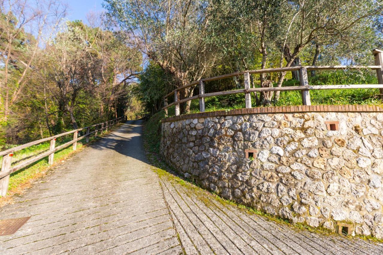 Appartamento COLLEALCEPPO - RESIDENZA LE SORBE - Piscina panoramica 13 km dal mare Montemagno  Esterno foto