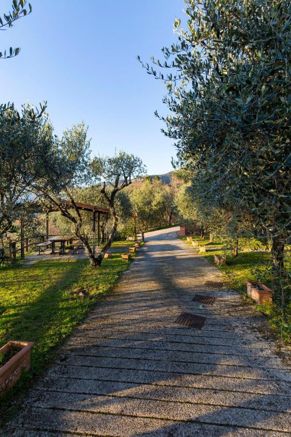 Appartamento COLLEALCEPPO - RESIDENZA LE SORBE - Piscina panoramica 13 km dal mare Montemagno  Esterno foto