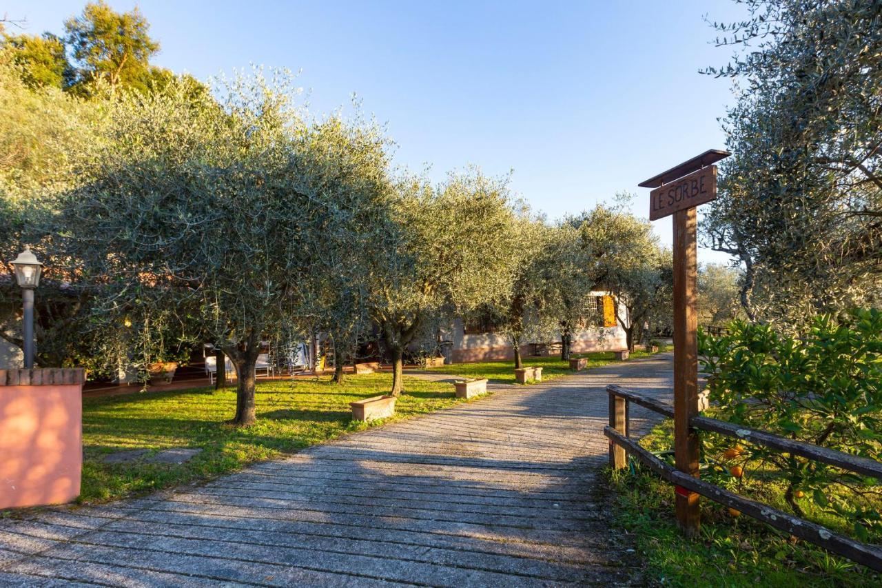 Appartamento COLLEALCEPPO - RESIDENZA LE SORBE - Piscina panoramica 13 km dal mare Montemagno  Esterno foto