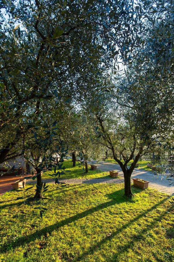 Appartamento COLLEALCEPPO - RESIDENZA LE SORBE - Piscina panoramica 13 km dal mare Montemagno  Esterno foto