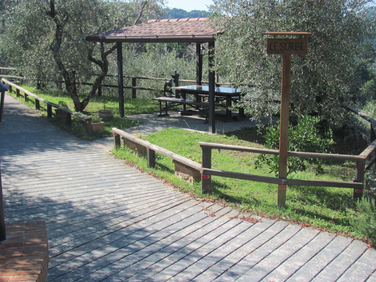 Appartamento COLLEALCEPPO - RESIDENZA LE SORBE - Piscina panoramica 13 km dal mare Montemagno  Esterno foto