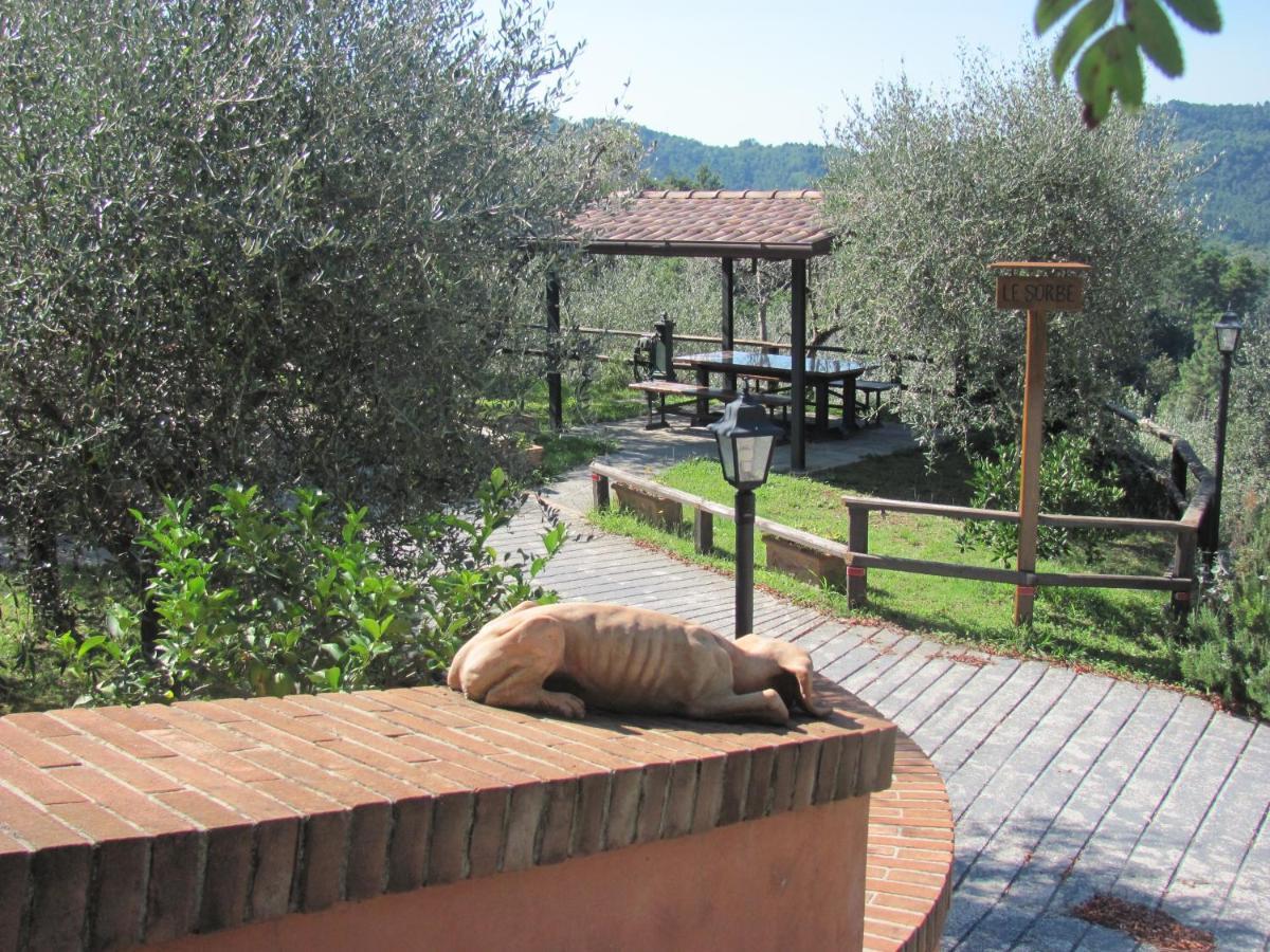 Appartamento COLLEALCEPPO - RESIDENZA LE SORBE - Piscina panoramica 13 km dal mare Montemagno  Esterno foto